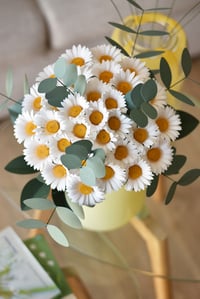 Image 1 of SIMPLY DAISIES
