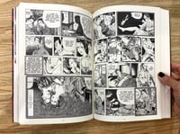 Image 3 of Light of the Moon by Kazuichi Hanawa - The Mansion Press