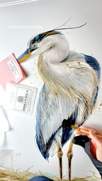 Image 4 of GENTLE KEEPER