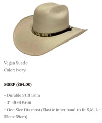 Image 9 of High Quality Blank Suede Standard Cowboy Hats 