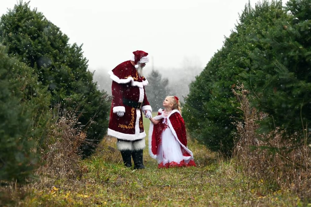 Image of Holiday Minis