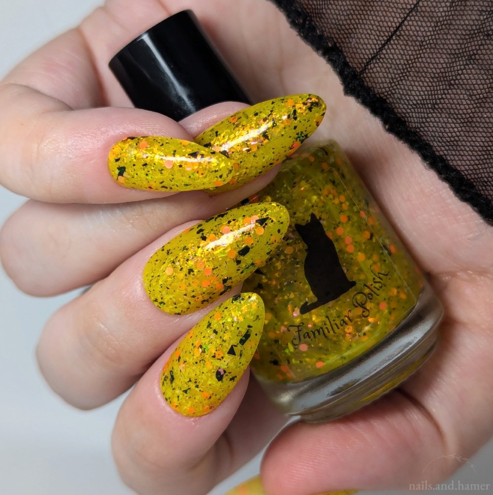 Image of By Lantern’s Glow 