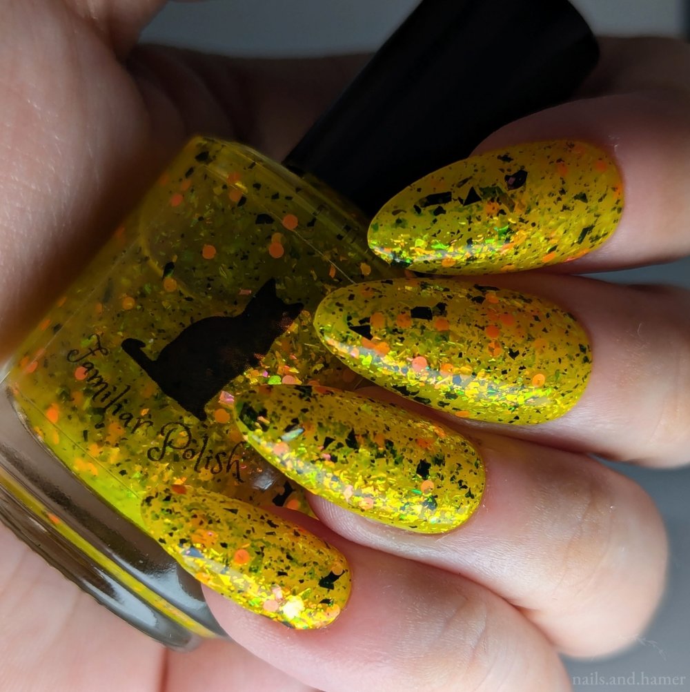 Image of By Lantern’s Glow 