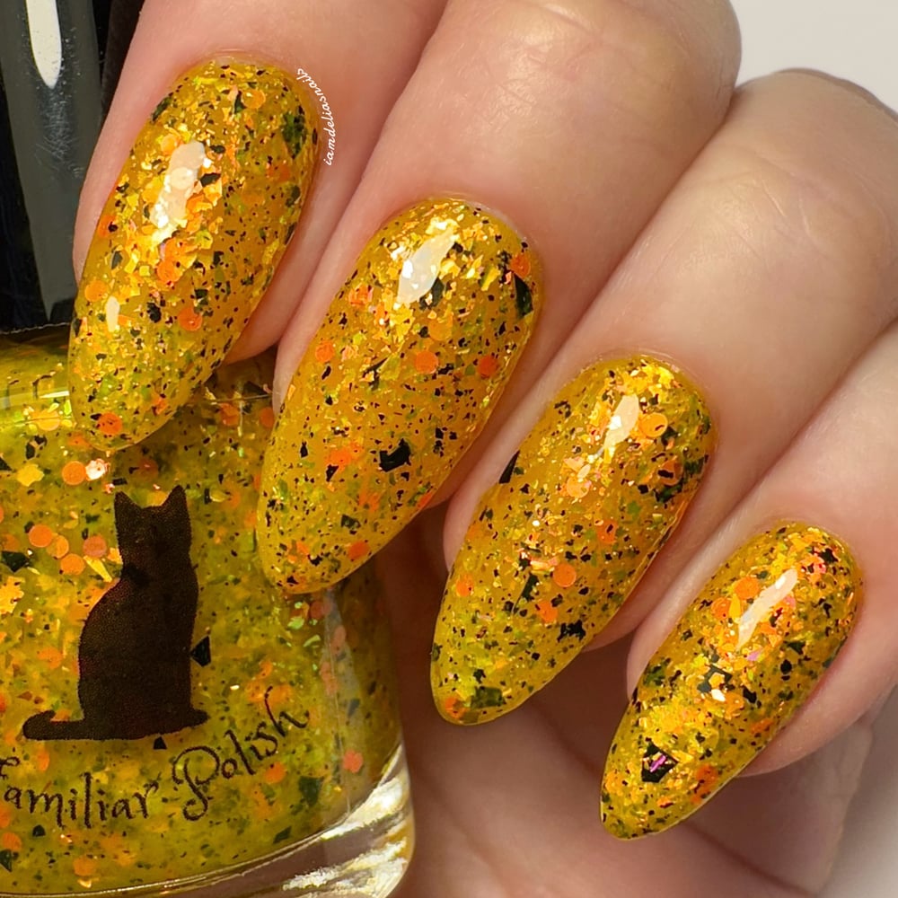 Image of By Lantern’s Glow 