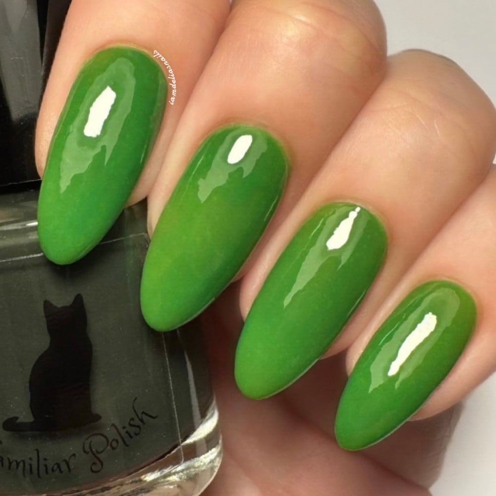 Image of The Wicked Duo