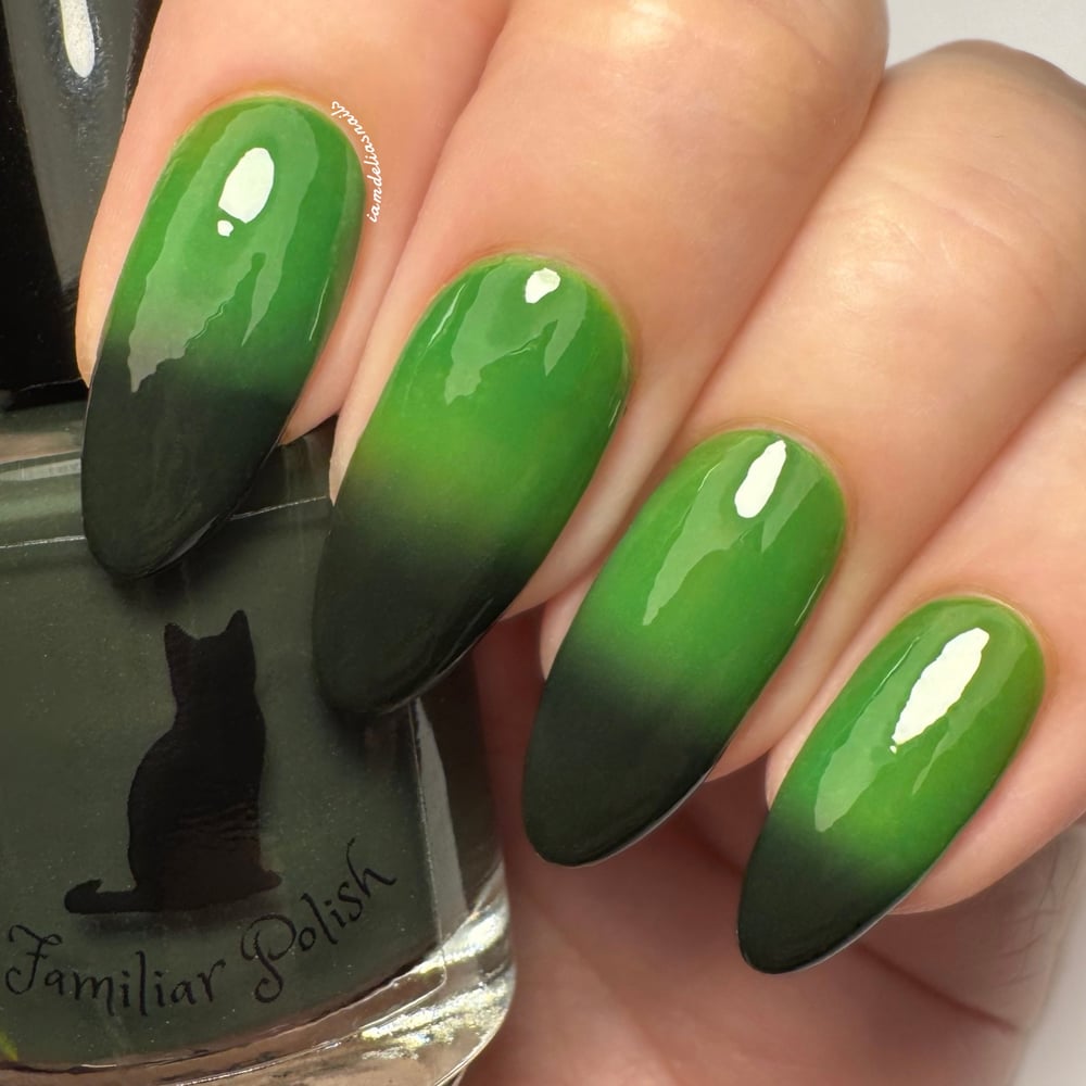 Image of The Wicked Duo