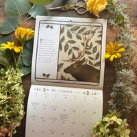 Image 6 of Woodland Wardens 2026 Mini Calendar