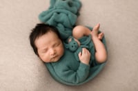 Image 1 of WINDMILL COLLECTION | PREORDER