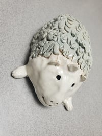 Image 5 of Curly