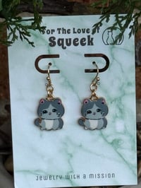 Image of Smoosh face Grey Kittie
