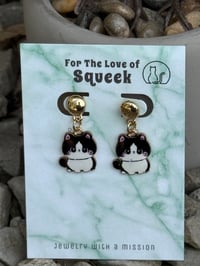 Image of Smoosh face Tuxedo Kittie