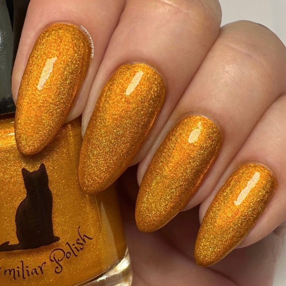 Image of Pumpkin Spicy