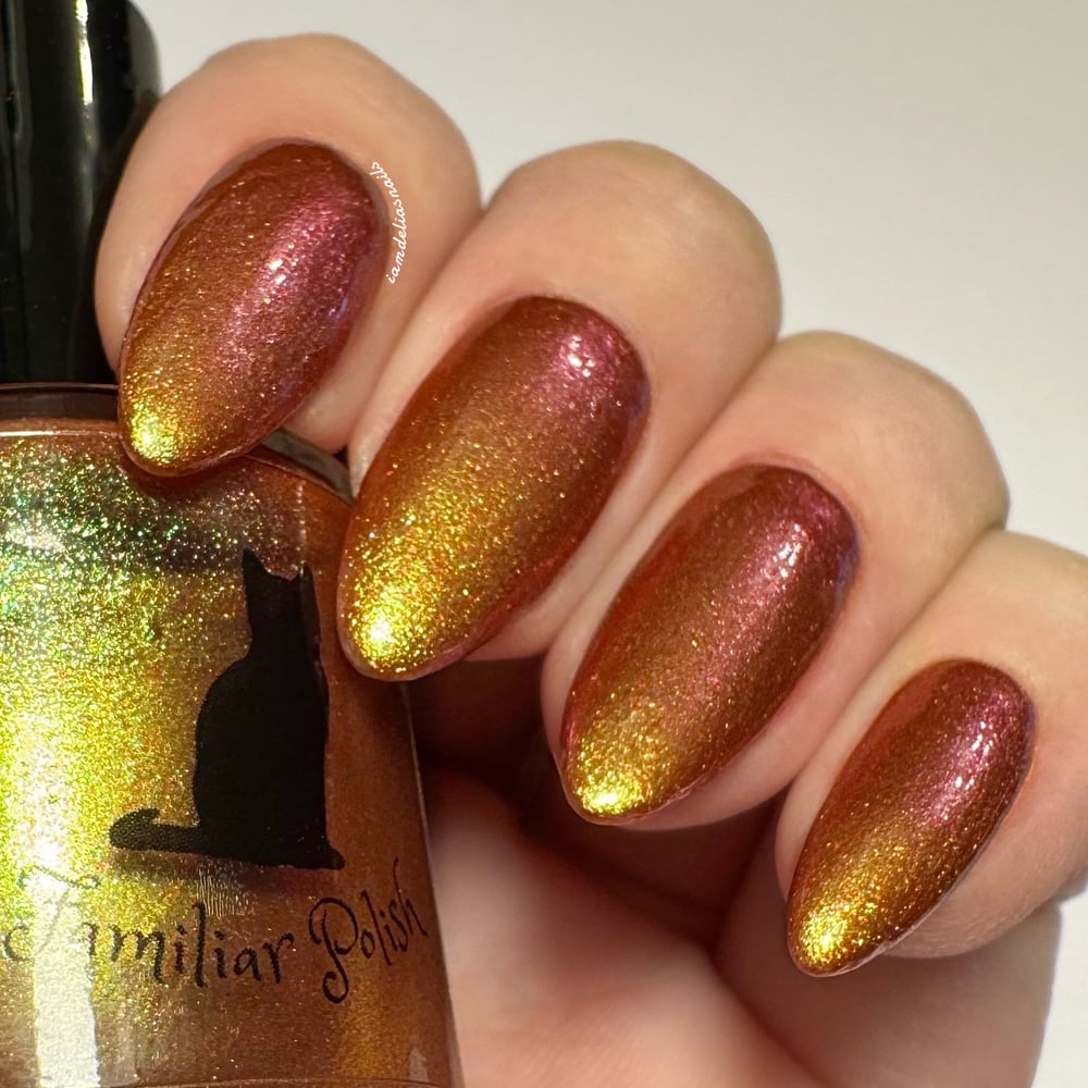 Image of Honeycrisp Cider 