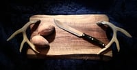 Image 5 of Antler Handle Serving Trays
