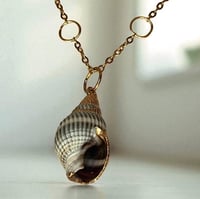 Image 3 of  Gold Trim Shell Necklace