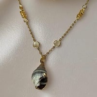 Image 1 of  Gold Trim Shell Necklace