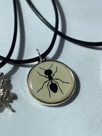 Image 4 of Halloween/Fall Necklaces 
