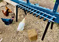 Image 3 of Chicken Tracks Ramp | Roost | Ladder | Bridge | Perch | 4 feet in length