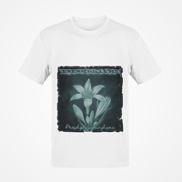 Image 3 of DREAMKILLERS DELUXE ALBUM CD +VINYL + T SHIRTS and MUSCLE T BUNDLES