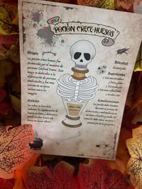 Image 2 of Poción Crece Huesos, lámina.