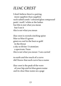 Image 3 of HOLY BLUE - FRAN POPE