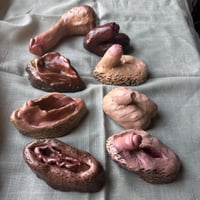 Image 1 of Pack 8 genitales "Cossos sense  mites"