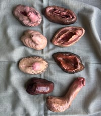 Image 2 of Pack 8 genitales "Cossos sense  mites"