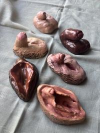 Image 1 of Pack 6 genitales "Cossos sense mites"