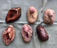 Image 2 of Pack 6 genitales "Cossos sense mites"