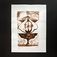 Image 1 of Kelch, 2018