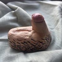 Image 2 of Genital 5 "Cossos sense mites"