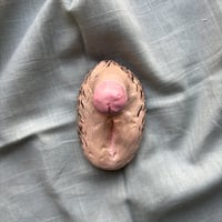 Image 3 of Genital 5 "Cossos sense mites"