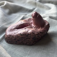 Image 2 of Genital 4 "Cossos sense mites"