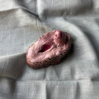 Image 1 of Genital 4 "Cossos sense mites"