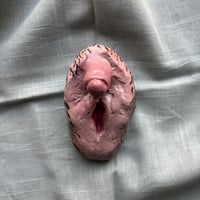 Image 3 of Genital 4 "Cossos sense mites"