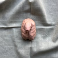 Image 3 of Genital 6 "Cossos sense mites"