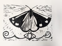 Image 2 of Cinnabar Moth 