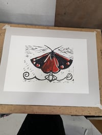 Image 3 of Cinnabar Moth 