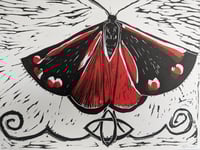 Image 5 of Cinnabar Moth 