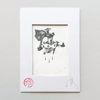 Image 1 of Höhle, 2025