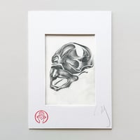 Image 1 of Schädel III, 2025