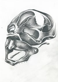 Image 2 of Schädel III, 2025