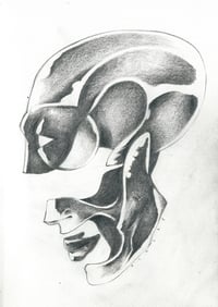 Image 2 of Schädel, 2025