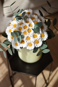 Image 5 of SIMPLY DAISIES