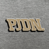 Image 2 of PJDN Hoodie (Heather Grey)