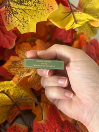 Image 2 of Mini libro de la cámara secreta con imán