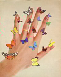 Butterflies on Hand