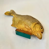 Image 9 of Grand poisson piranha naturalisé sur socle en bois – Cabinet de curiosités - Taxidermie vintage