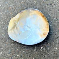 Image 2 of Grand vide-poche huître perlière en nacre polie vintage - 1970s