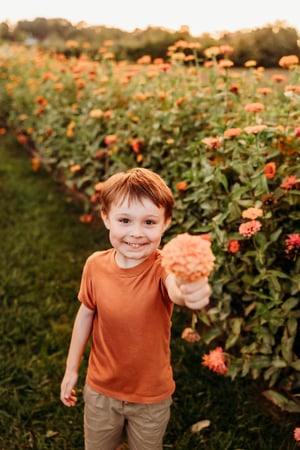 Image of 7Acres Wildflower Farm